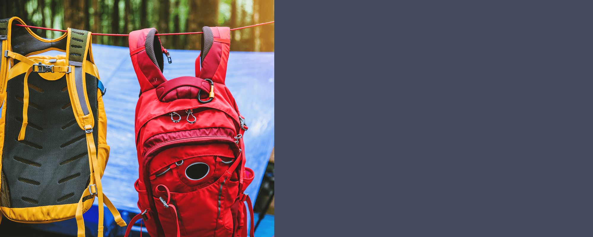 Sweet Backpacks | Need a new travel partner? Shop Hiking Backpacks